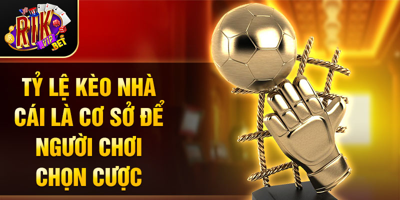 Tỷ lệ kèo nhà cái là cơ sở để người chơi chọn cược